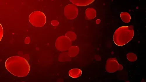 WBC Count and Function: How White Blood Cells Protect You